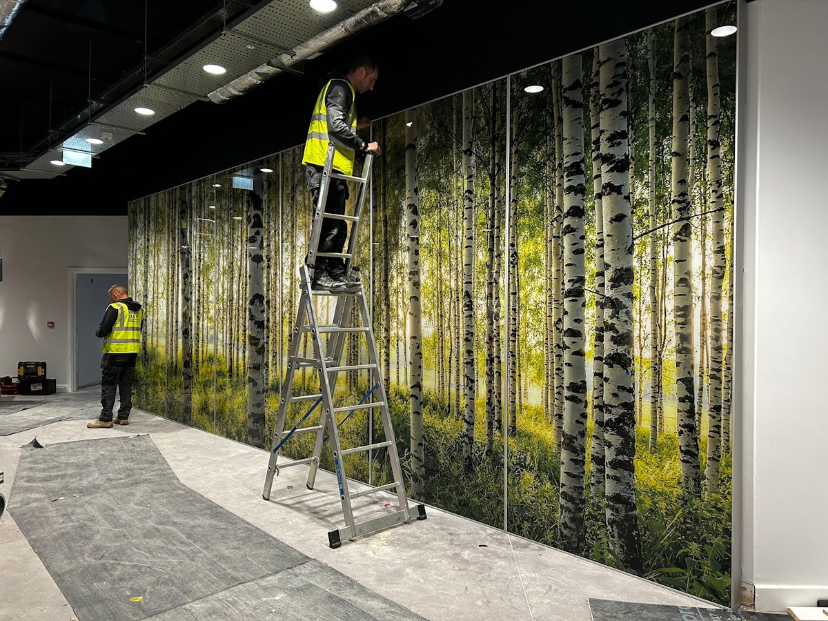 Installation & Commissioning