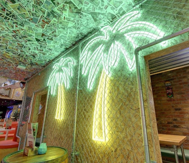 palm tree in faux neon