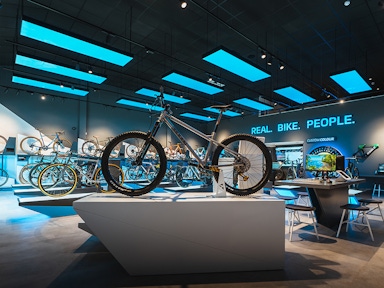 Gass ceiling feature in bike shop