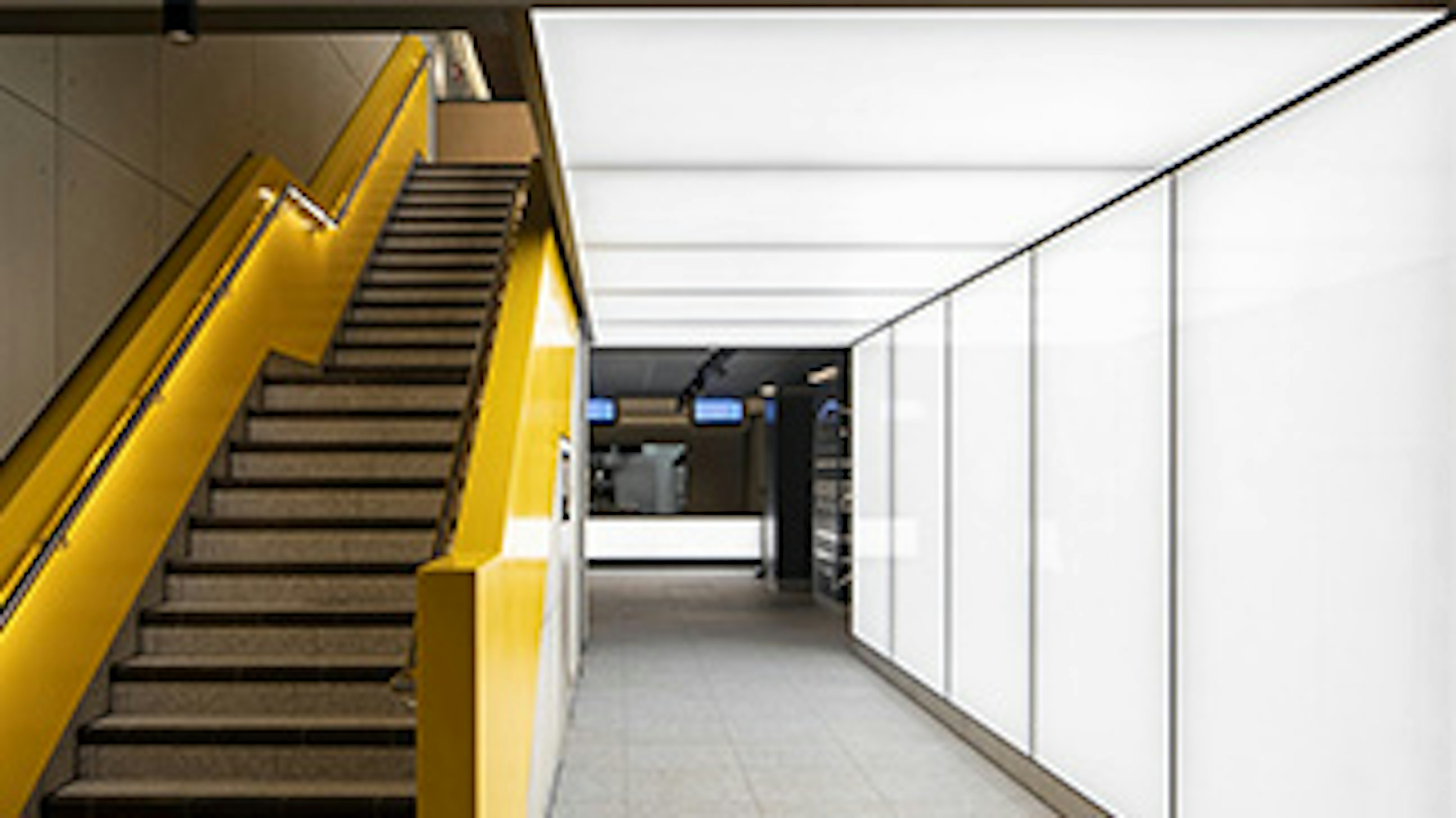 Glass Wall & Ceiling Lightboxes