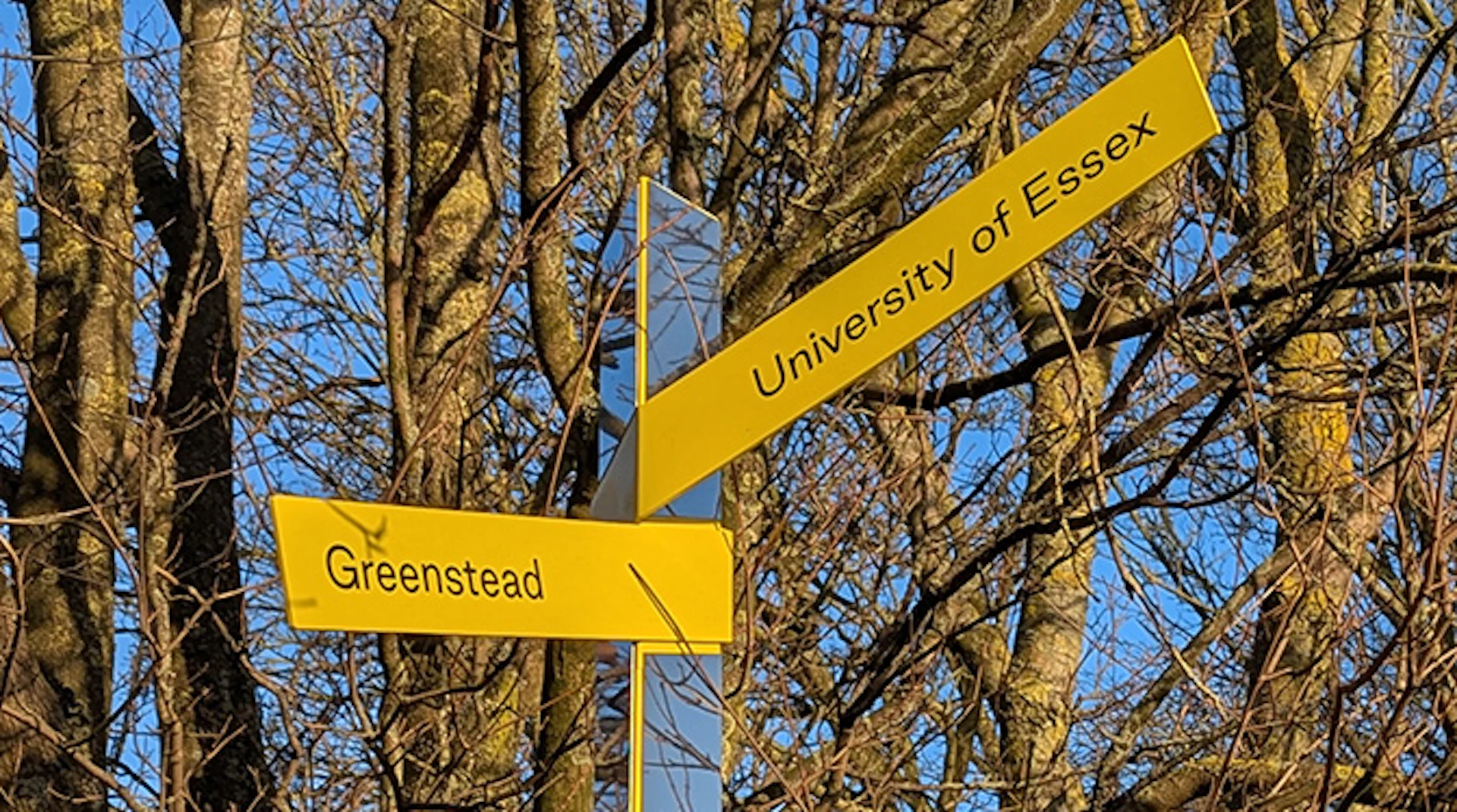 Experts on your doorstep